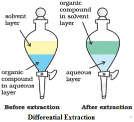 Methods Of Purification Qualitative And Quantitative Analysis Class 11