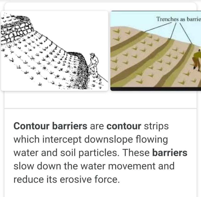 What Is Contour Barrier Edurev Class Question