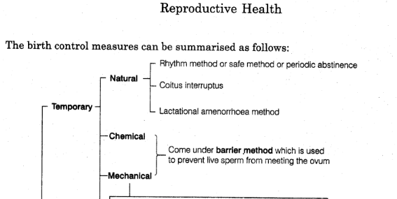 Reproductive Health Problems And Strategies Reproductive Health