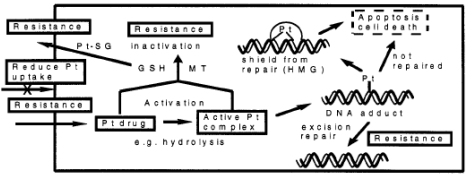 Image Result For Clinical Trial Application