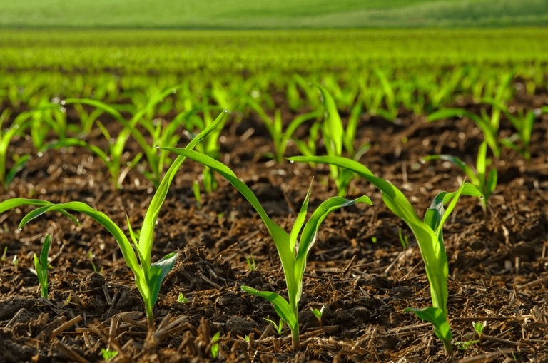 Crop Production Agricultural Engineering Docs, Videos, Tests