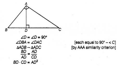 Important Questions: Triangles | 10 Questions MCQ Test