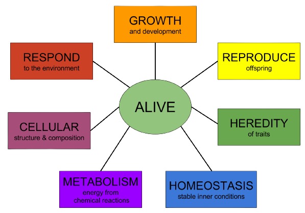 ncert-solutions-life-processes-class-10-notes-edurev