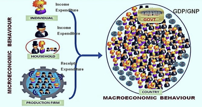 Microeconomic and Macroeconomic Behaviour