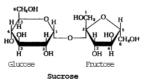 Derivatives of Monosaccharides NEET Notes | EduRev