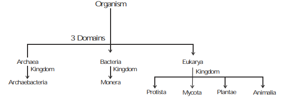 Whittaker 5 kingdom Classification - Biological Classification, Biology ...