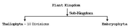 Taxonomy NEET Notes | EduRev
