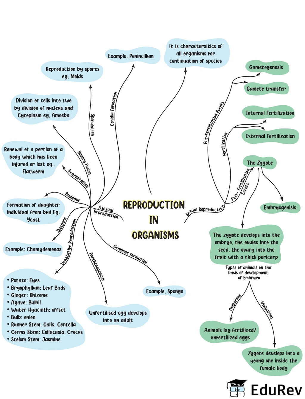 Mindmap Reproduction In Organisms Neet Notes Edurev 