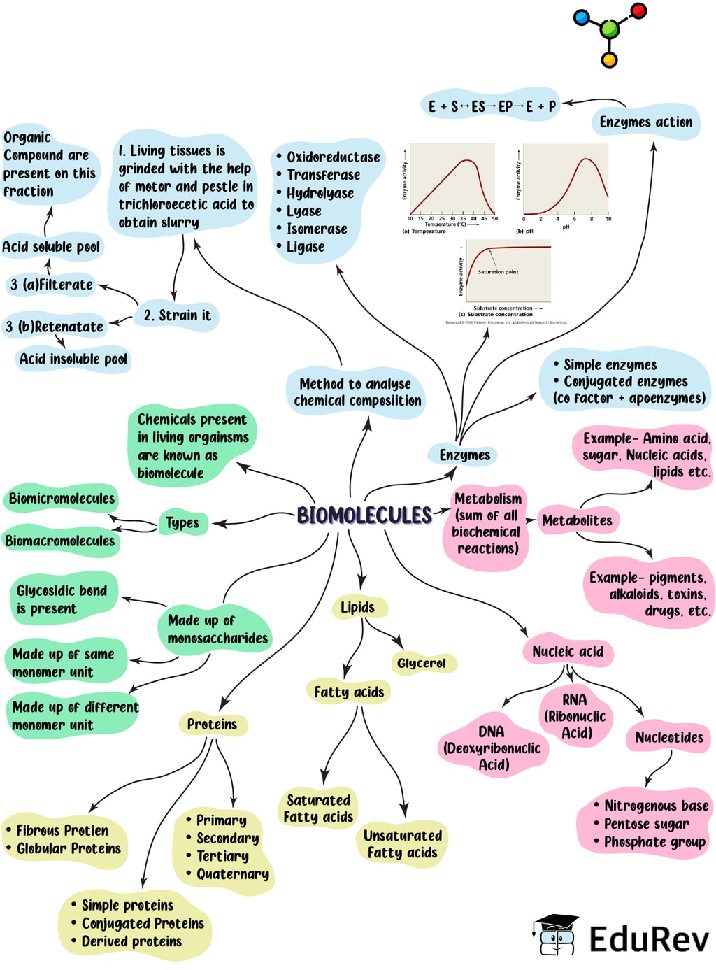 biology-concept-map-mind-map-images-and-photos-finder