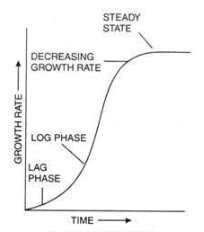 Phases of Growth - Notes | Study Biology Class 11 - NEET