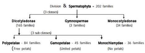 Taxonomy NEET Notes | EduRev