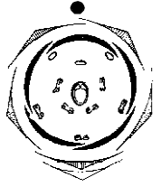 Chart Families of Angiosperms NEET Notes | EduRev