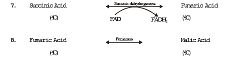 Scie206 biology unit 2ip photosynthesis respiration image