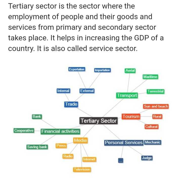 definition-of-tertiary-sector-edurev-class-10-question