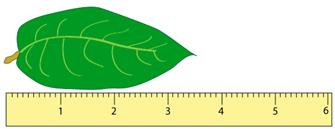 Significant Figures Notes | EduRev