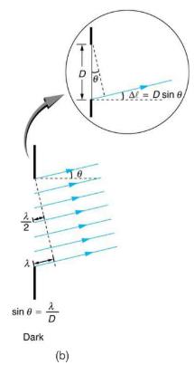 young's single slit experiment class 12