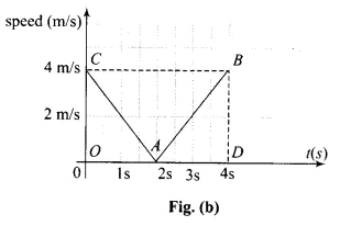 NCERT Exemplar (Part - 1) - Motion in a Straight Line Notes | EduRev