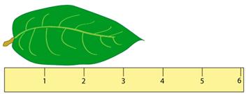 Significant Figures Notes | EduRev