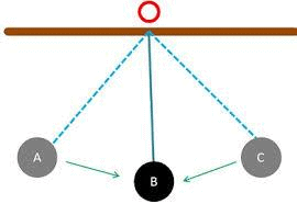 Introduction to Motion Class 11 Notes | EduRev