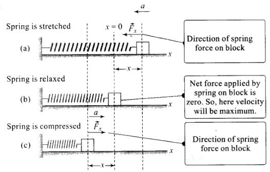 NCERT Exemplar (Part - 1) - Motion in a Straight Line Notes | EduRev
