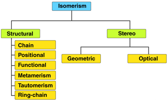 Isomerism in Alkanes, Alkenes, & Alkynes Class 11 Notes | EduRev