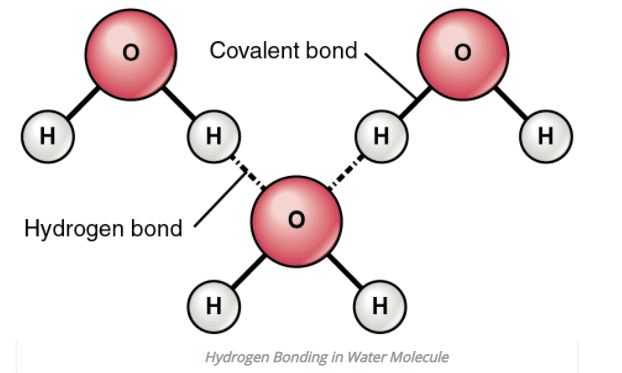 Hydrogen bonding JEE Notes | EduRev