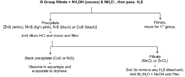 Chapter - 12 QUALITATIVE ANALYSIS Class 12 Notes | EduRev