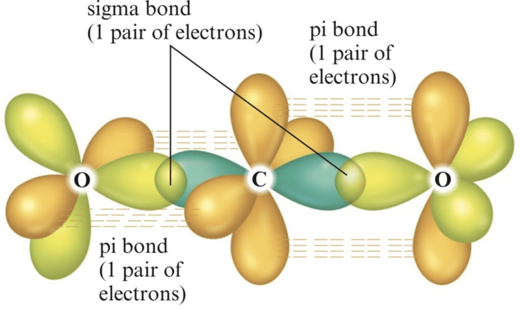 Doc: Valence Bond Theory Class 12 Notes | EduRev