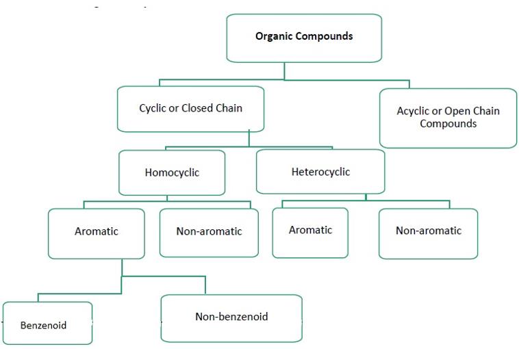 Characteristics and Classification of Organic Compounds Notes - Class 11