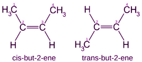 Isomerism in Alkanes, Alkenes, & Alkynes Class 11 Notes | EduRev