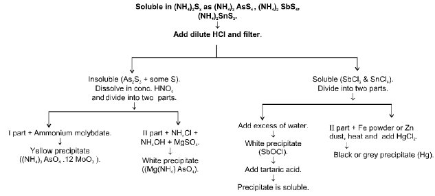 Chapter - 12 QUALITATIVE ANALYSIS Class 12 Notes | EduRev