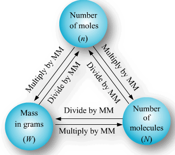 Mole Concept and Basic Concepts Class 11 Notes | EduRev