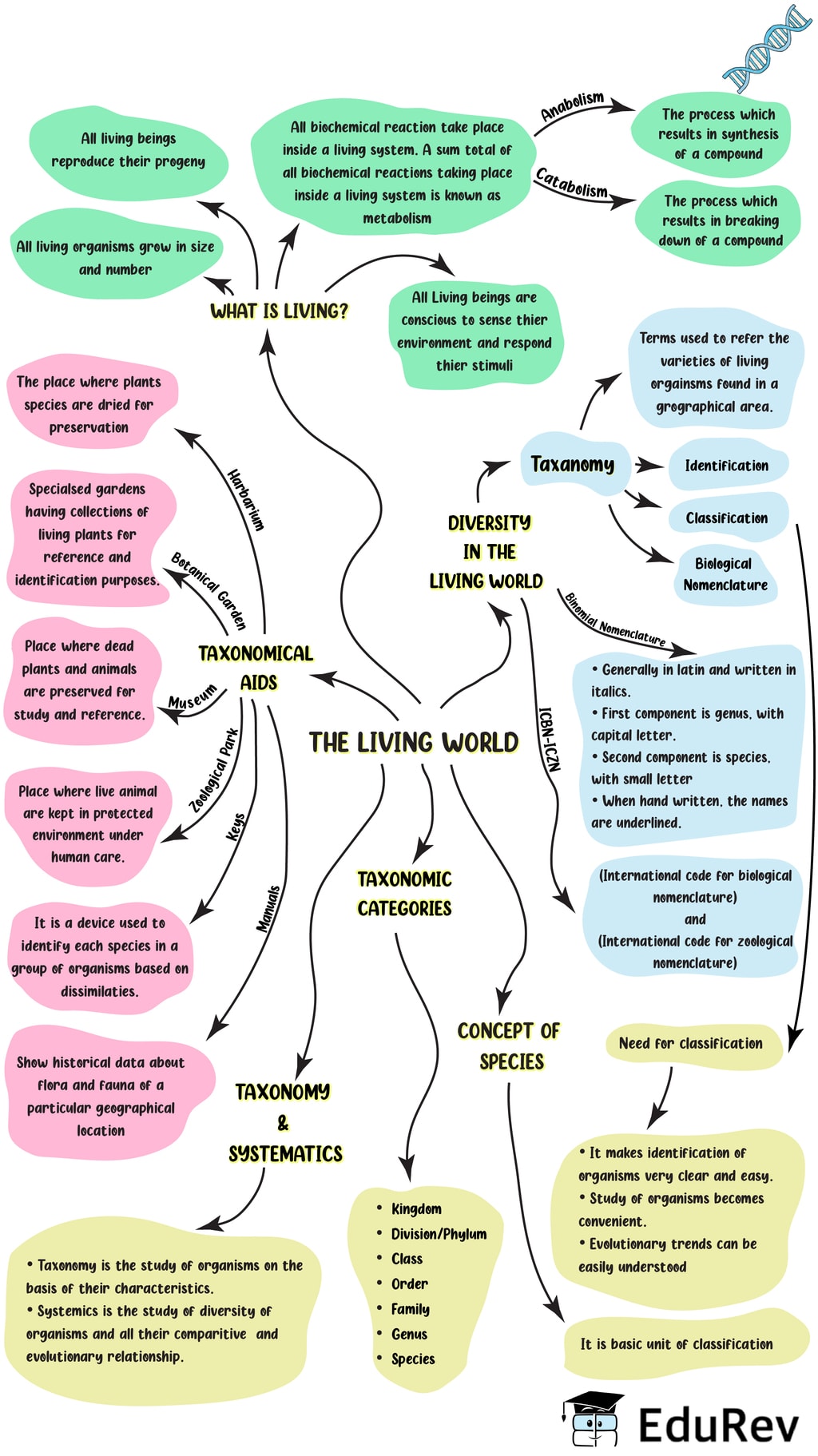 Mindmap The Living World Notes Edurev
