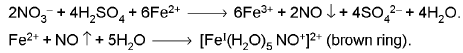 Chapter - 12 QUALITATIVE ANALYSIS Class 12 Notes | EduRev