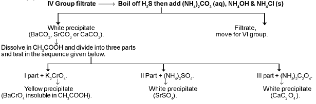 Chapter - 12 QUALITATIVE ANALYSIS Class 12 Notes | EduRev