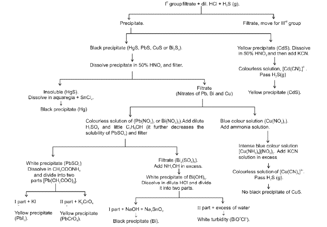 Chapter - 12 QUALITATIVE ANALYSIS Class 12 Notes | EduRev