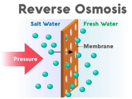 osmosis reverse edurev purification phenomenon semipermeable practical