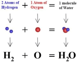 Laws of Chemical Combinations Class 11 Notes | EduRev