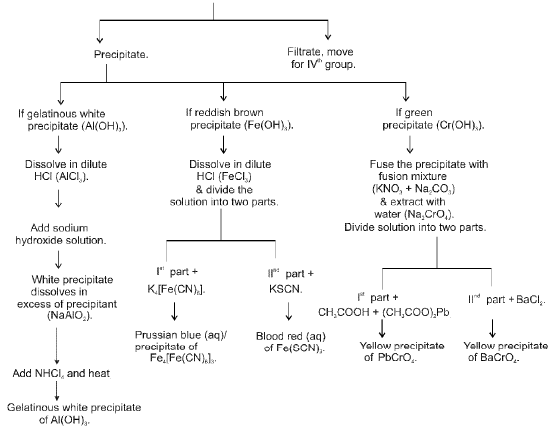 Chapter - 12 QUALITATIVE ANALYSIS Class 12 Notes | EduRev