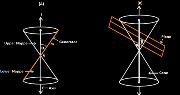 Conic Sections: Overview JEE Notes | EduRev