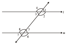 Worksheet Question - Lines and Angles Class 7 Notes | EduRev