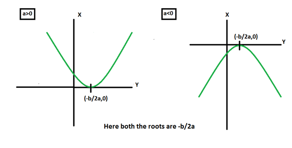 Nature of Roots Class 10 Notes | EduRev