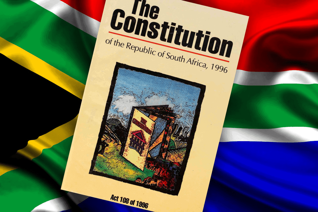 Detailed Chapter Notes - Constitutional Design, SST, CBSE Class 9 | EduRev Notes