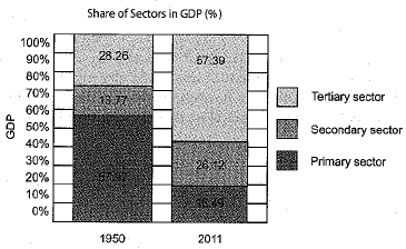 NCERT Solution- Sectors of the Indian Economy Class 10 Notes | EduRev