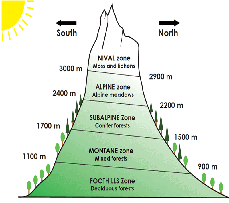 NCERT Solution - Natural Vegetation and Wildlife Class 9 Notes | EduRev