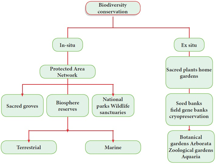 Detailed Chapter Notes - Natural Vegetation And Wildlife Class 9 Notes ...