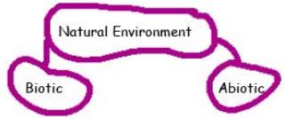 Chapter Notes: Chapter 1 - Environment, SST, Class 7 | EduRev Notes