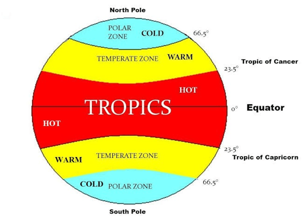 Chapter Notes Chapter - Chapter 2: Globe Latitudes and Longitudes, Class 6, SST | EduRev Notes