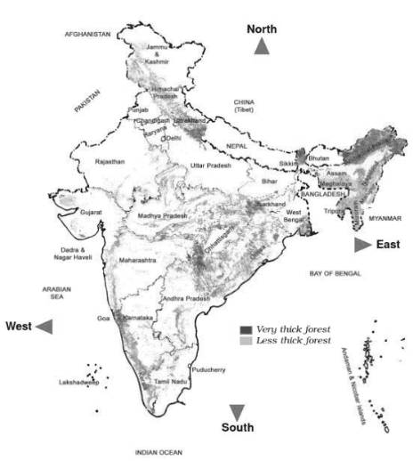 Worksheet - Whose Forests? Class 5 Notes | EduRev