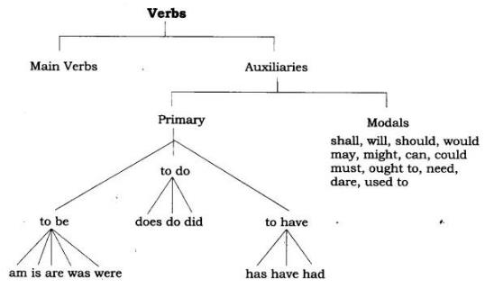 worksheet verb notes study english an alien hand class 7 class 7